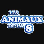 Compte des Animaux de la 8 😉