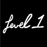 Level 1