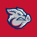 Lehigh Valley IronPigs