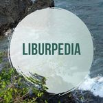 PT LIBURPEDIA NUSANTARA