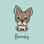Barnaby 🐾 Frenchie