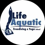 Life Aquatic Freediving & Yoga