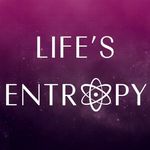 Life's Entropy