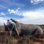 Limpopo Wildlife Vet