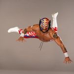 Lince Dorado