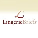 Lingerie Briefs ~ Fashion Blog