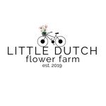 Little Dutch Flowers