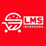 LMS inversora c.a.