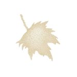 The London Plane The London Plane