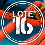 Lote16_Handmade®