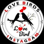love birds 005