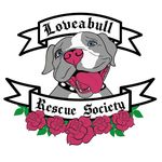 Loveabull Rescue Society