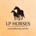 LP Horses