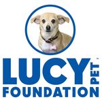 The Lucy Pet Foundation