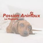 Magazine Passion Animaux