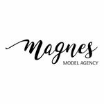 Magnes Models