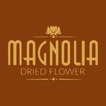 Magnolia Dried Flower