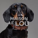 The Luxury Dog Brand