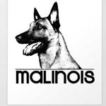 Malinois World