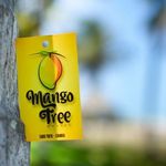 Mango Tree Hostel