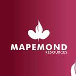 Mapemond Brand Consulting