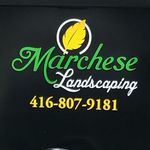 Marchese Landscaping Toronto