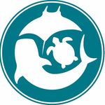 Marine Megafauna Foundation