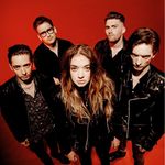 Marmozets