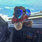 Martin the Bear | Traveling