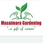 Masaimara Gardening