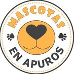 MASCOTAS EN APUROS