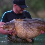 Matt Tomsett | The Carp Life