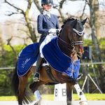 Maxime Osse | Max Equine