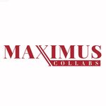 Maximus Collabs