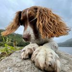 Max Out In The Lake District