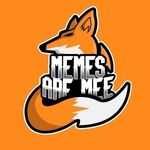 MEMES MEMES