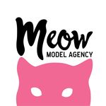 Meow Models