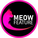 ★ Meow Feature ★