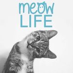 Meow Life