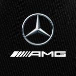 Mercedes-AMG PETRONAS F1 Team Mercedes-AMG PETRONAS F1 Team
