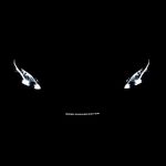 I L❤️ve Mercedes-Benz 🐺