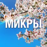 YouTube канал МИКРЫ