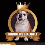 Mkuki Dogs Kennel