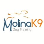 Molinak9 Dog Training