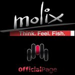 Molix - Think Feel Fish