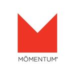 Momentum