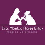 Dra Mónica Flores Estay