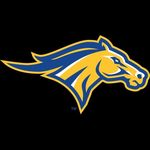 Monroe College Men's Soccer