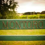 Montoro Wines