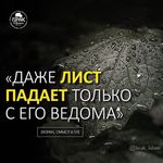 МОНЯ 🐺 МОНЯ 🐺